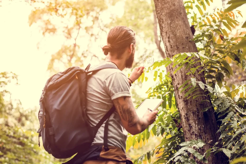 Les Aventuriers de Terra Aventura : Un Trésor Caché du Périgord Vert