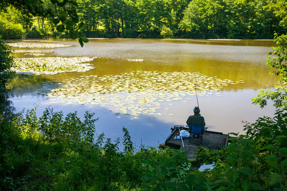 pêche en étang